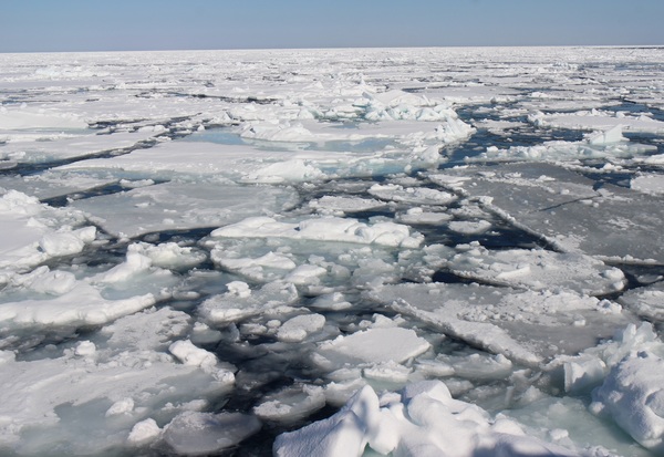 ���X�ӕX�D �K�����R���U