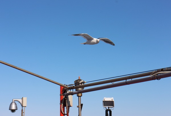 ���X�ӕX�D �K�����R���U