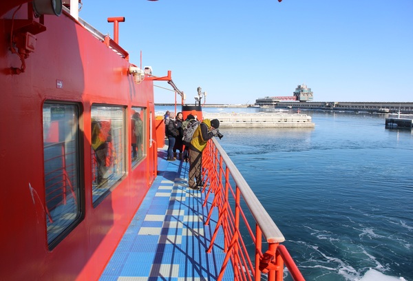 ���X�ӕX�D �K�����R���U