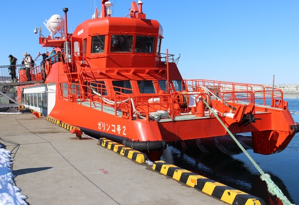 ���X�ӕX�D �K�����R���U