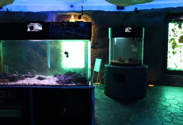 �X�C�W�]���I�z�[�c�N�^���[