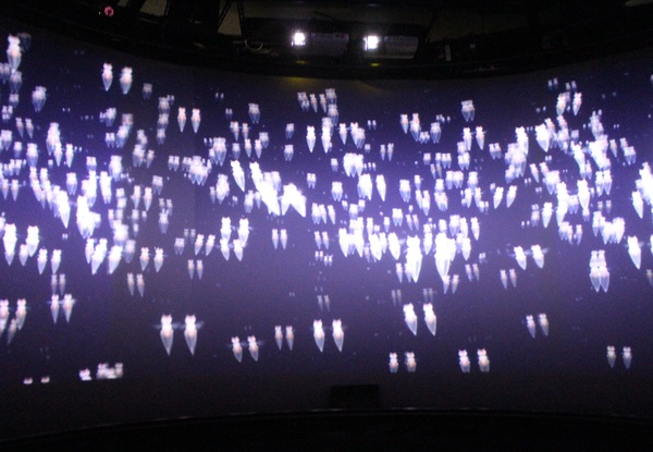 �X�C�W�]���I�z�[�c�N�^���[