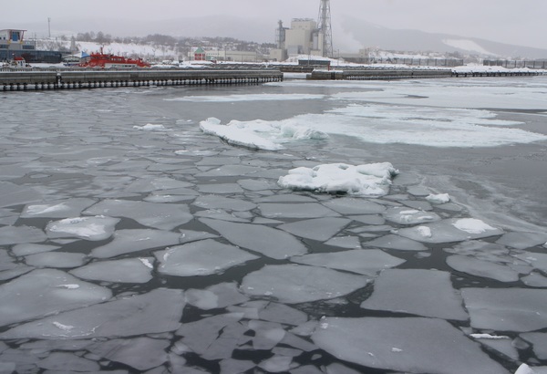 �X�C�W�]���I�z�[�c�N�^���[