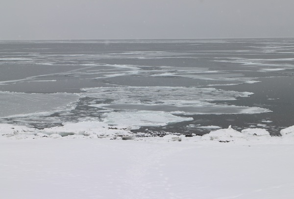 �I���T�������ԉ�