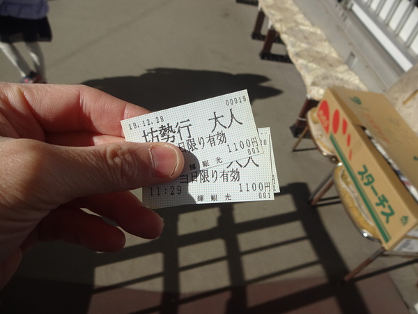 �P�H�`���q�D�^�[�~�i��