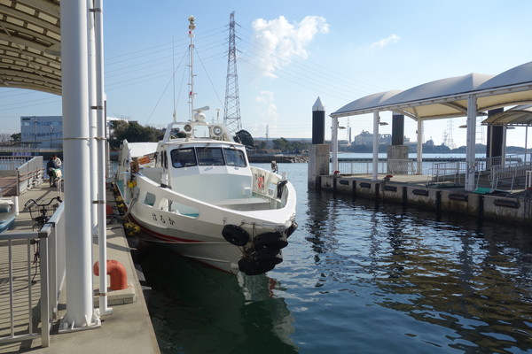 �P�H�`���q�D�^�[�~�i��