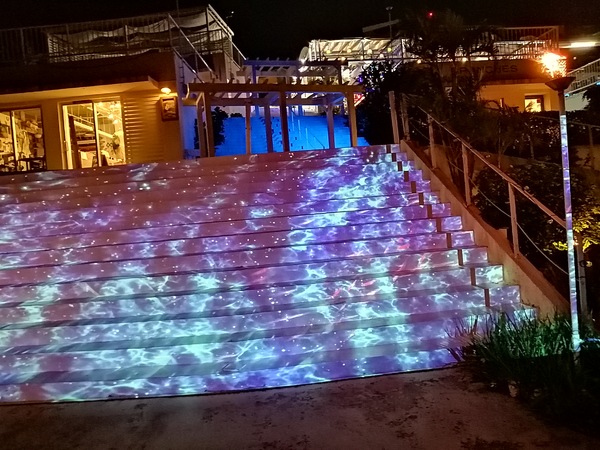 �������E�~�J�W�e���X