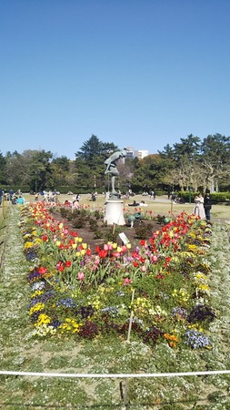鶴舞公園の 花まつり の写真一覧 じゃらんnet