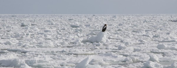 �I�z�[�c�N�C�̗��X