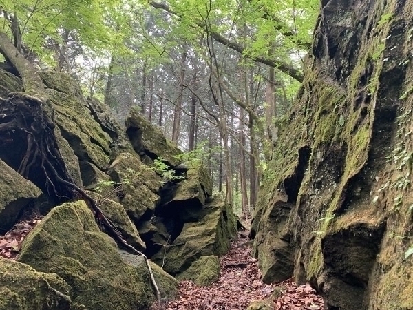 �ɍ��ېX�ь���