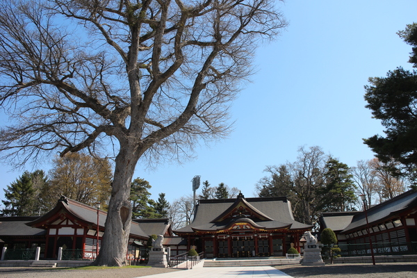 �k�C���썑�_��