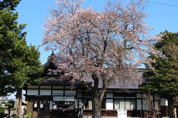 �k�C���썑�_��