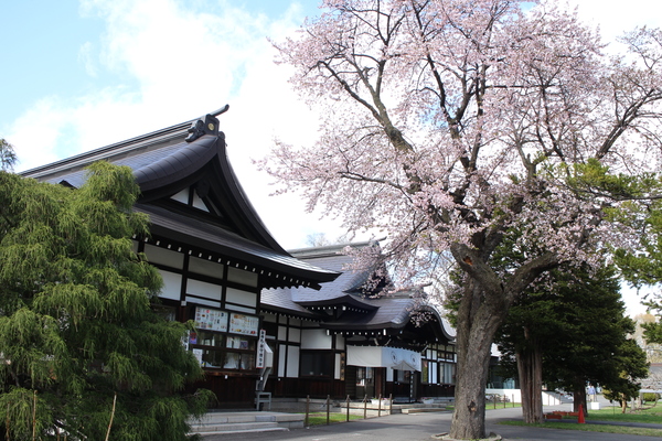 �k�C���썑�_��