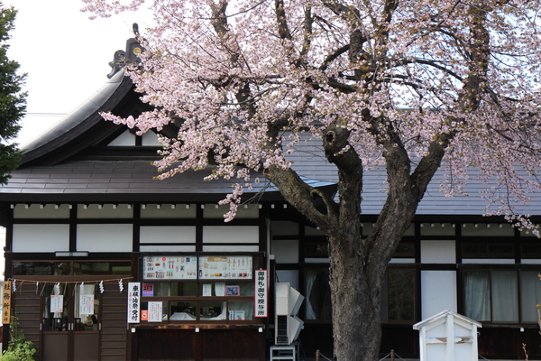 �k�C���썑�_��