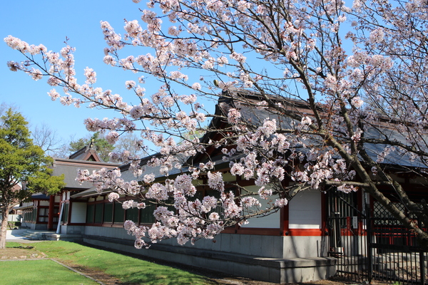 �k�C���썑�_��