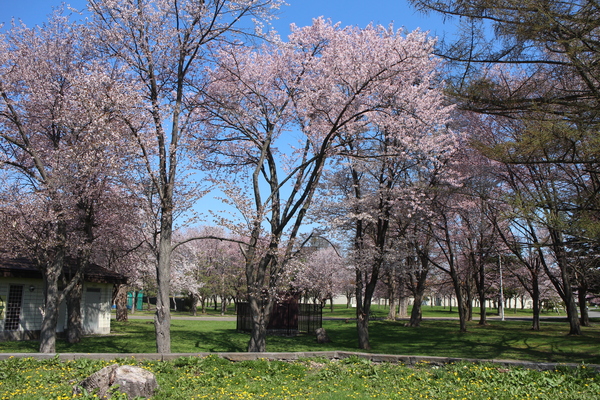 �ԍ�X�|�[�c����