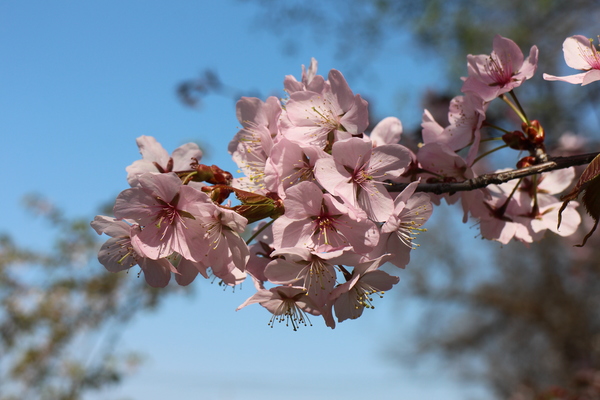 �ԍ�X�|�[�c����