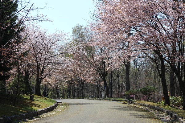 �_�y������