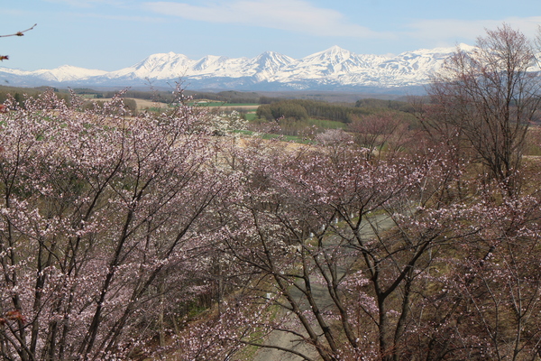 �[�R���W�]��