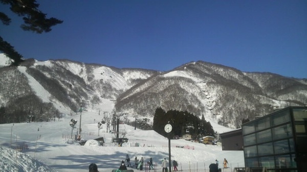 ���n�ܗ��G�X�J���v���U