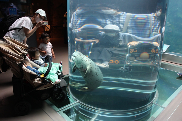 ���R������