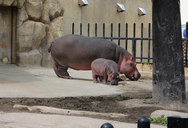 ���R������