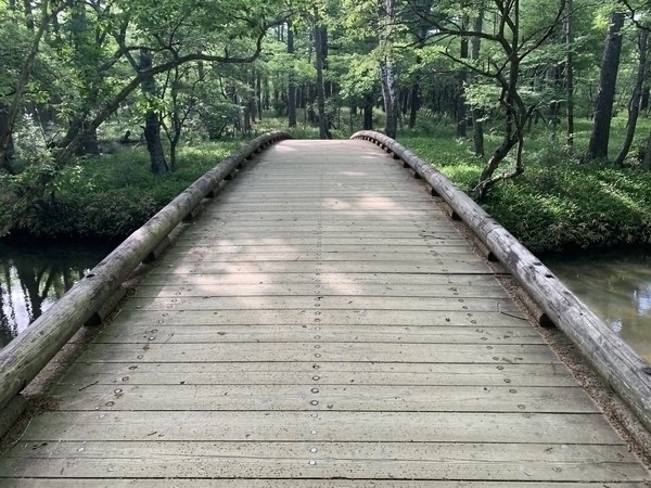 ����ԏ���