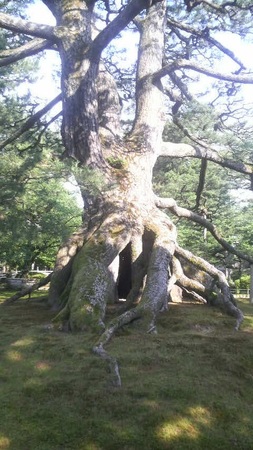 �����̏��i���Z���j