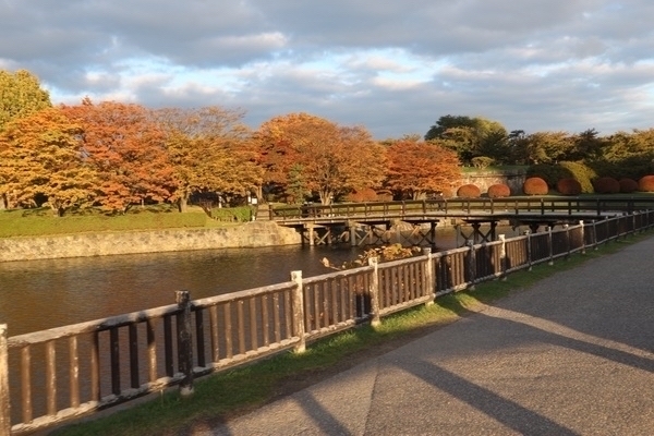 �ܗŊs����