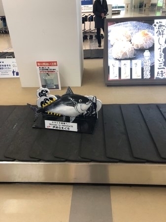 �j�b�|�������^�J�[  ���ً�`�O�X