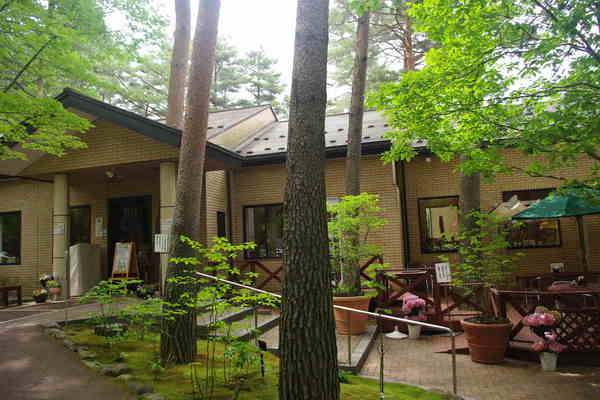 ����Ă�ςσK�[�f���������E�Ђ܂����E���[�@�j����