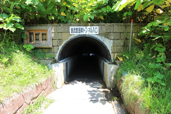 �����ӊC��