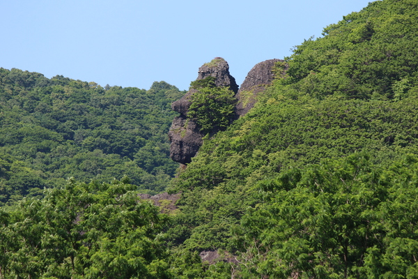 �}�E���e���S�����̊�