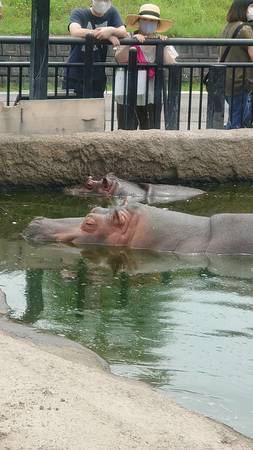 ���R������