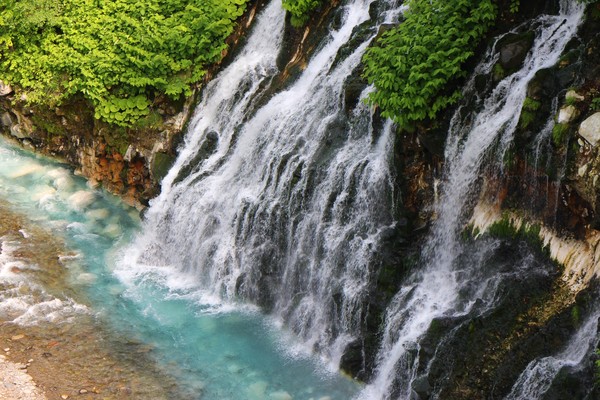 ���Ђ��̑�