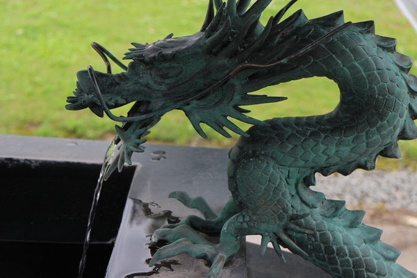 ���l�_��