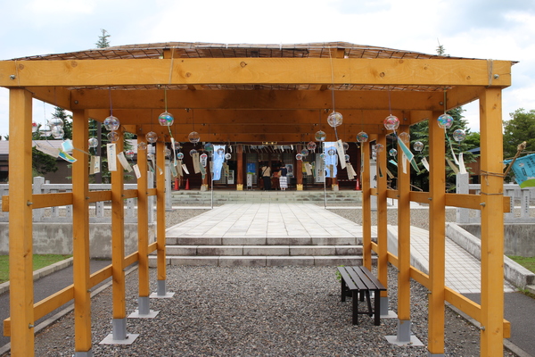 ���l�_��