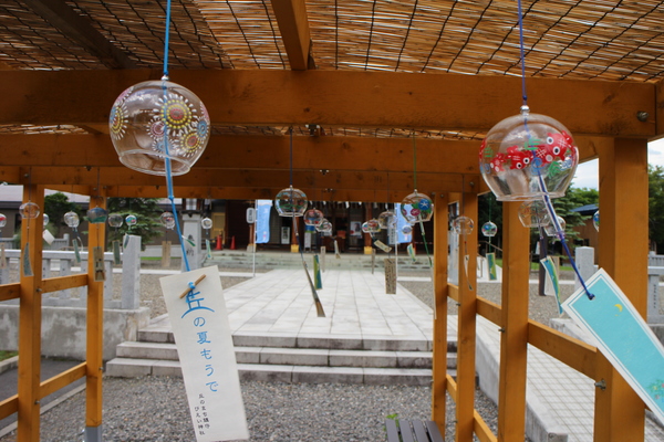 ���l�_��