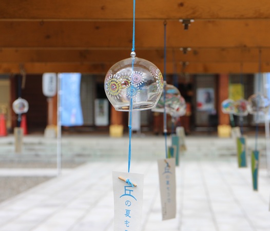 ���l�_��