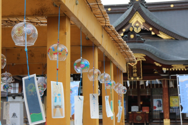 ���l�_��