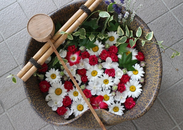 ���l�_��