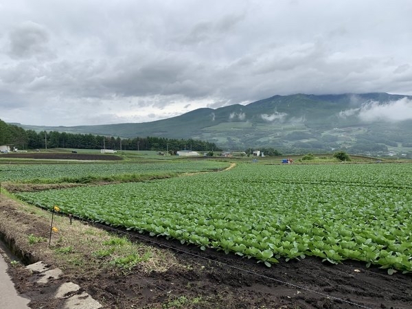 �p�m���}���C���샋�[�g