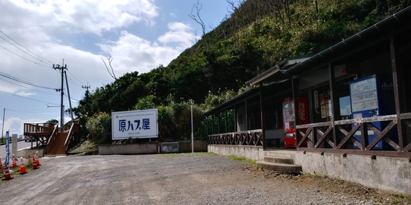 ���n�u������