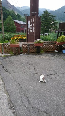 ����������i��