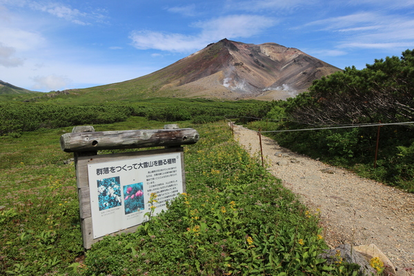 ���R�̍��R�A���Q��