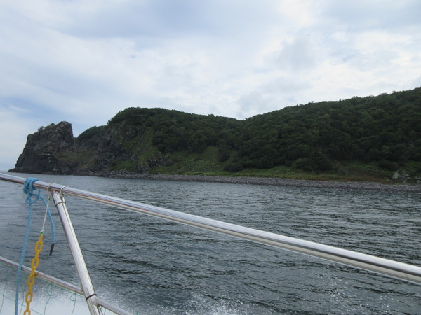 �m�����E��Y�N���[�YFOX��