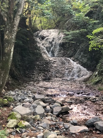 ��T��s����