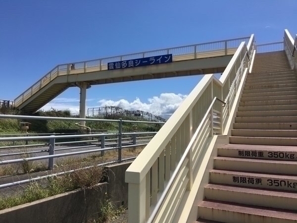 �|���p�����h���H���󂯒�h�W�]��