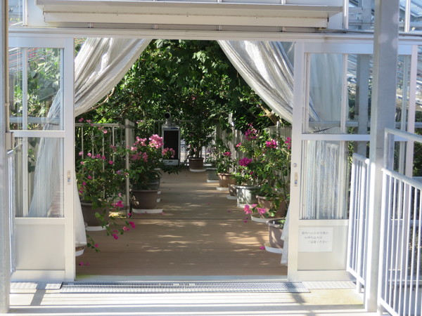 �u�[�Q���n�E�X���