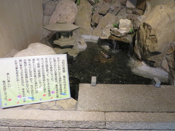 ���S�̏h�@�a�y��